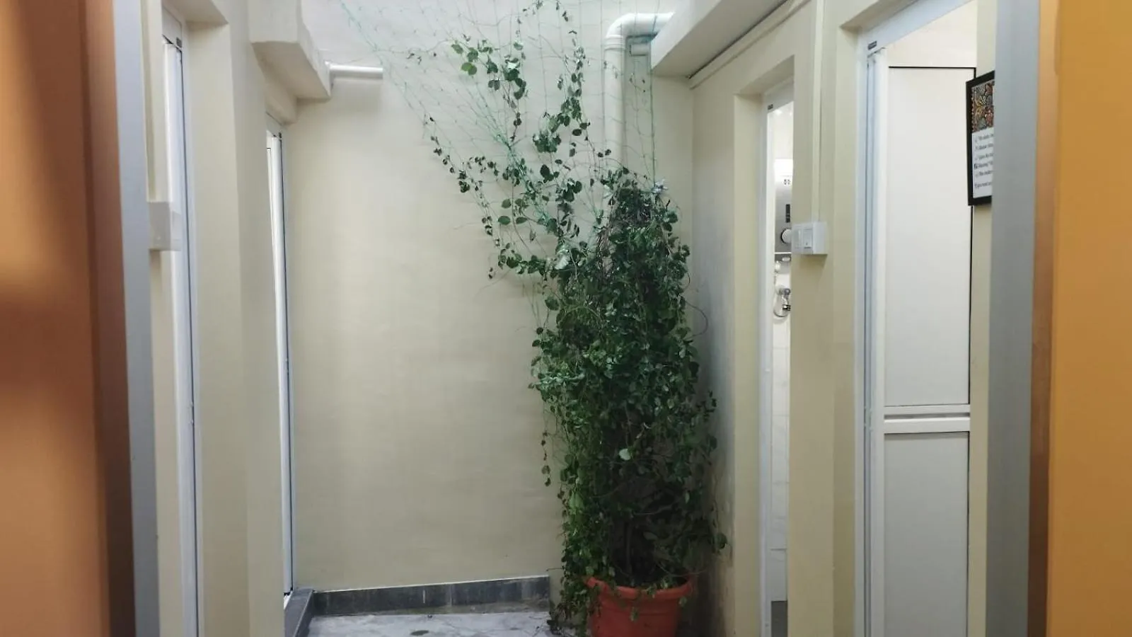 Auberge de jeunesse La Mamasita Hostel, Jonker Street Melaka Town